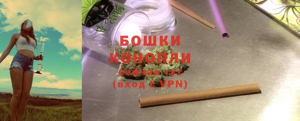 дурь Арсеньев