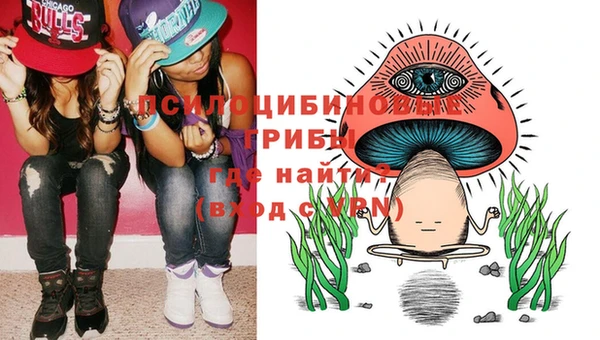 дурь Арсеньев