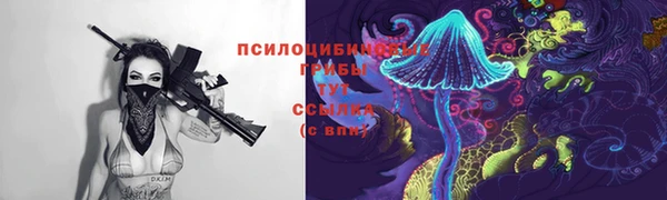 шишки Аркадак