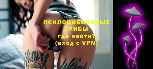 ECSTASY Алзамай