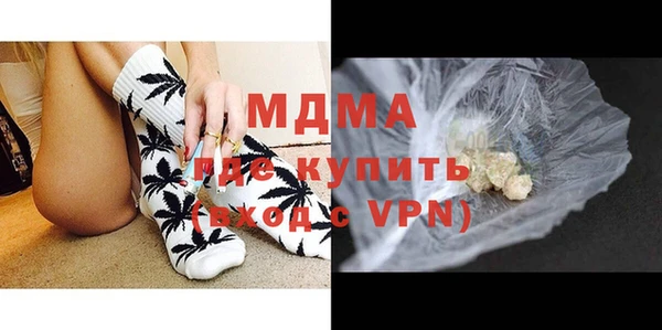 шишки Аркадак